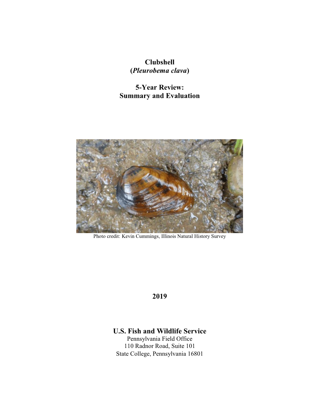 Clubshell (Pleurobema Clava) 5-Year Review