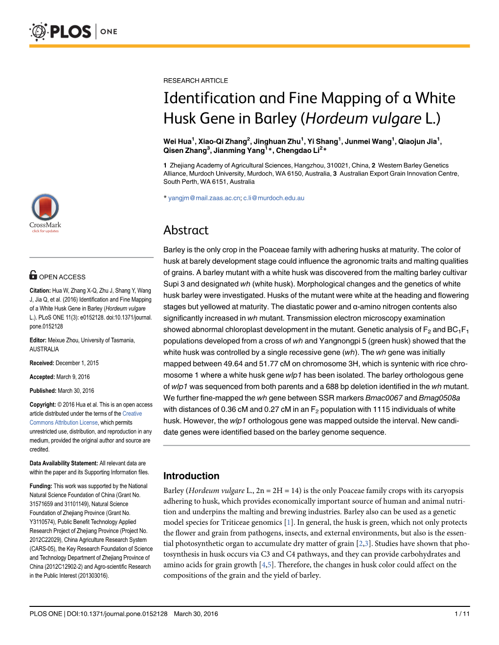 Identification and Fine Mapping of a White Husk Gene in Barley (Hordeum Vulgare L.)