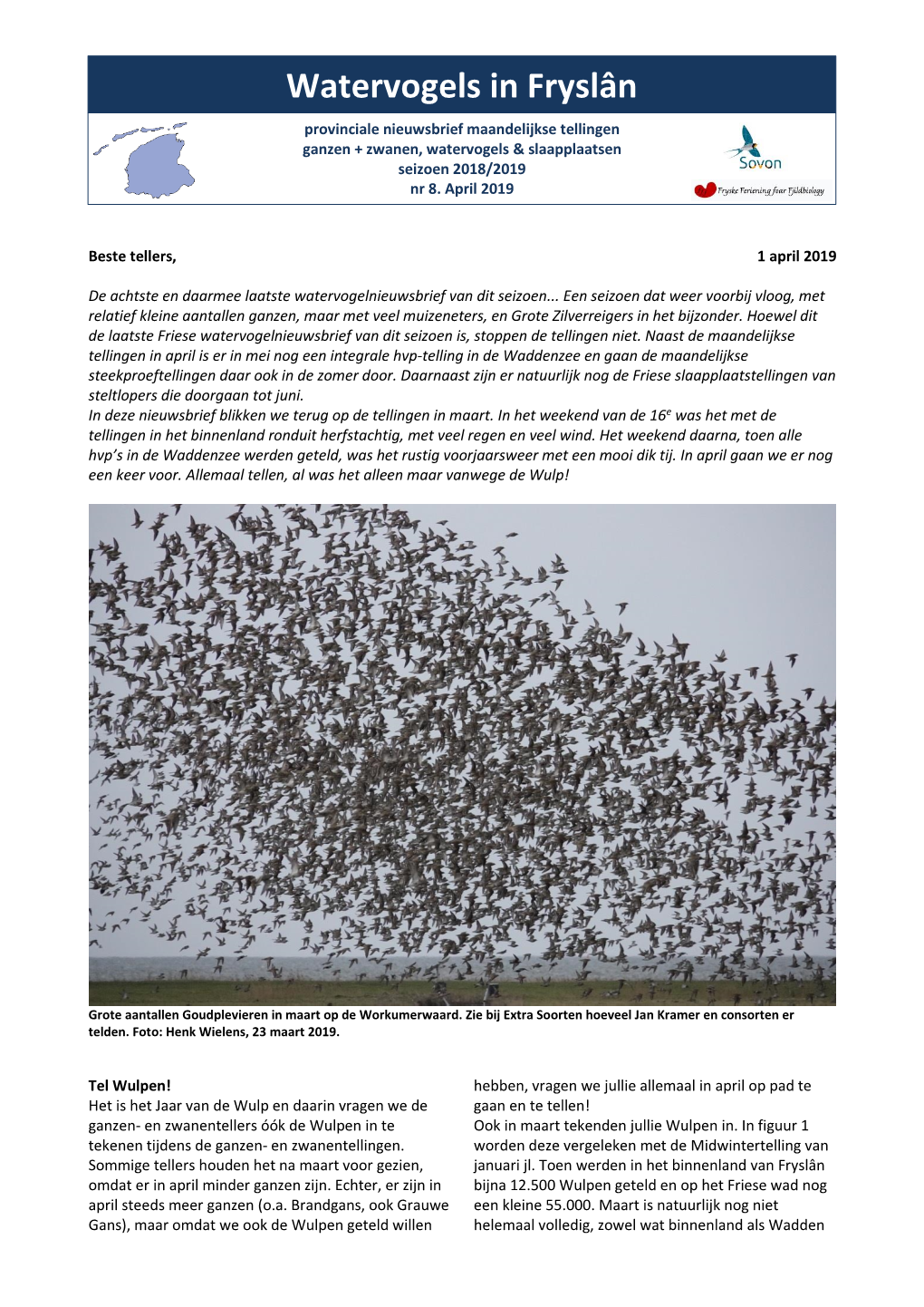 Watervogels in Fryslân Provinciale Nieuwsbrief Maandelijkse Tellingen Ganzen + Zwanen, Watervogels & Slaapplaatsen Seizoen 2018/2019 Nr 8