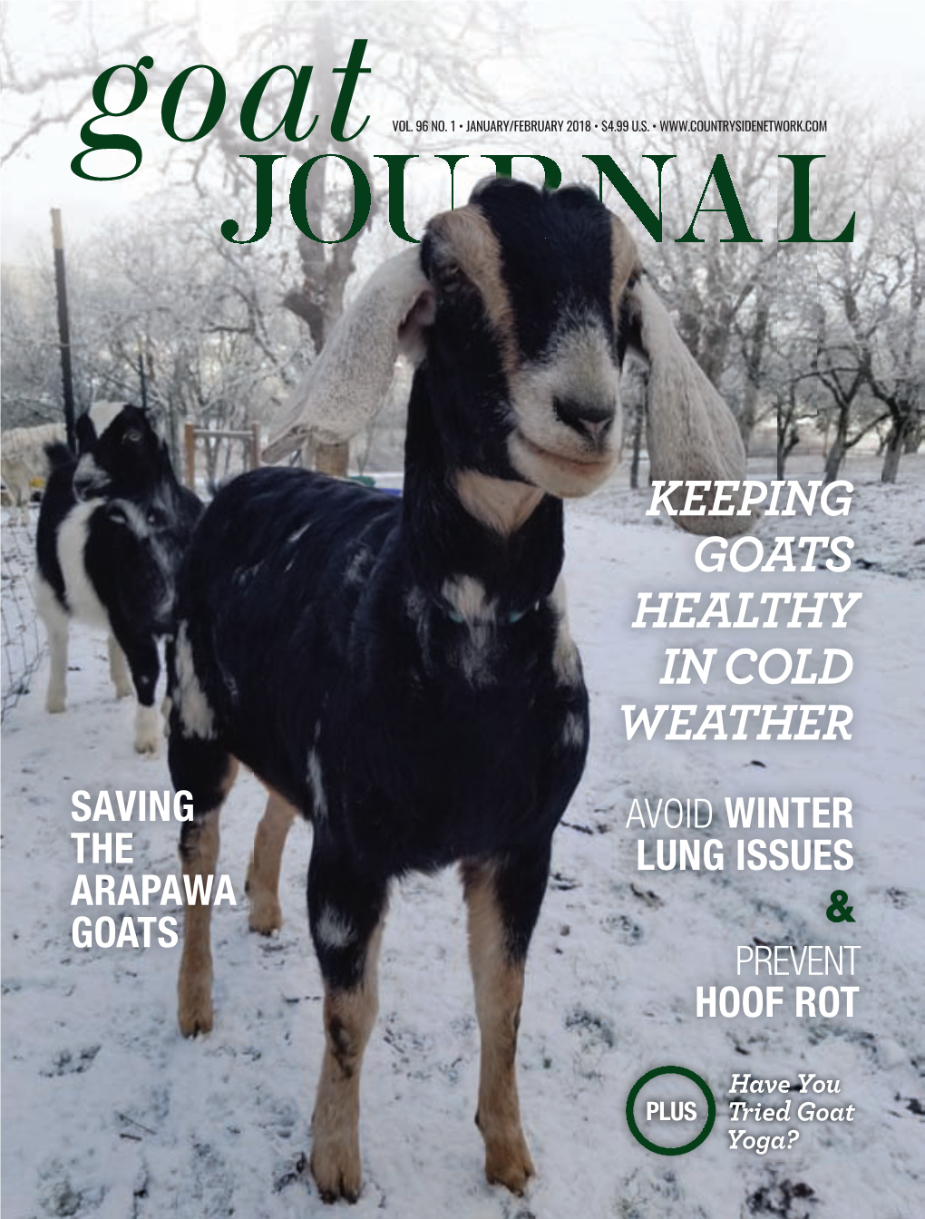 Keeping Goats Healthy in Cold Weather Saving Avoid Winter the Lung Issues Arapawa & Goats Prevent Hoof Rot