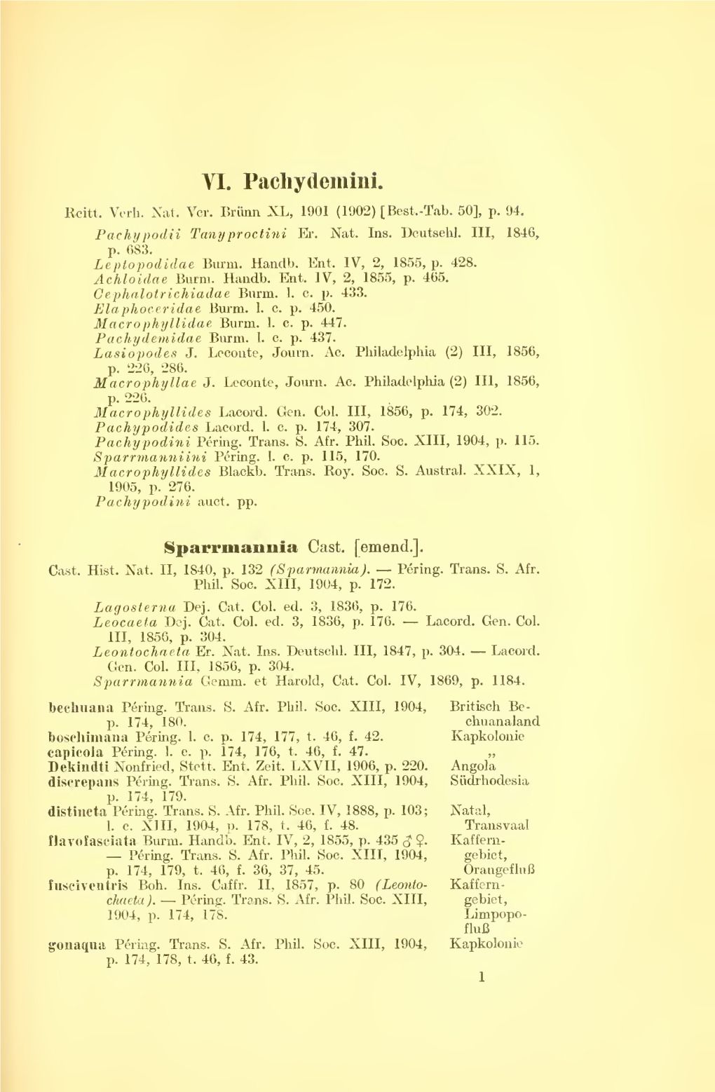 Coleopterorum Catalogus