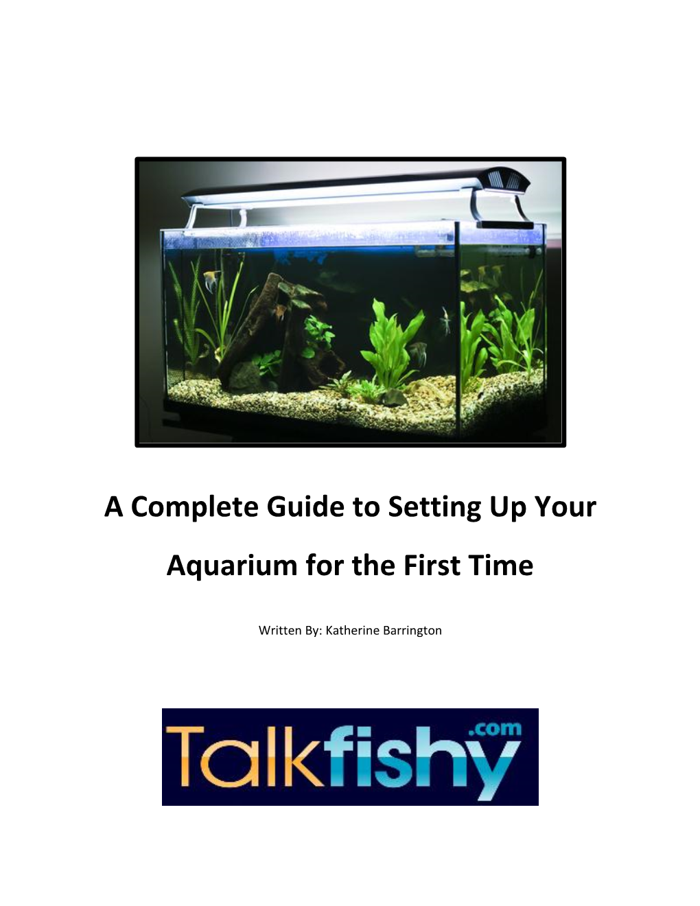 A Complete Guide to Setting up Your Aquarium for the First Time