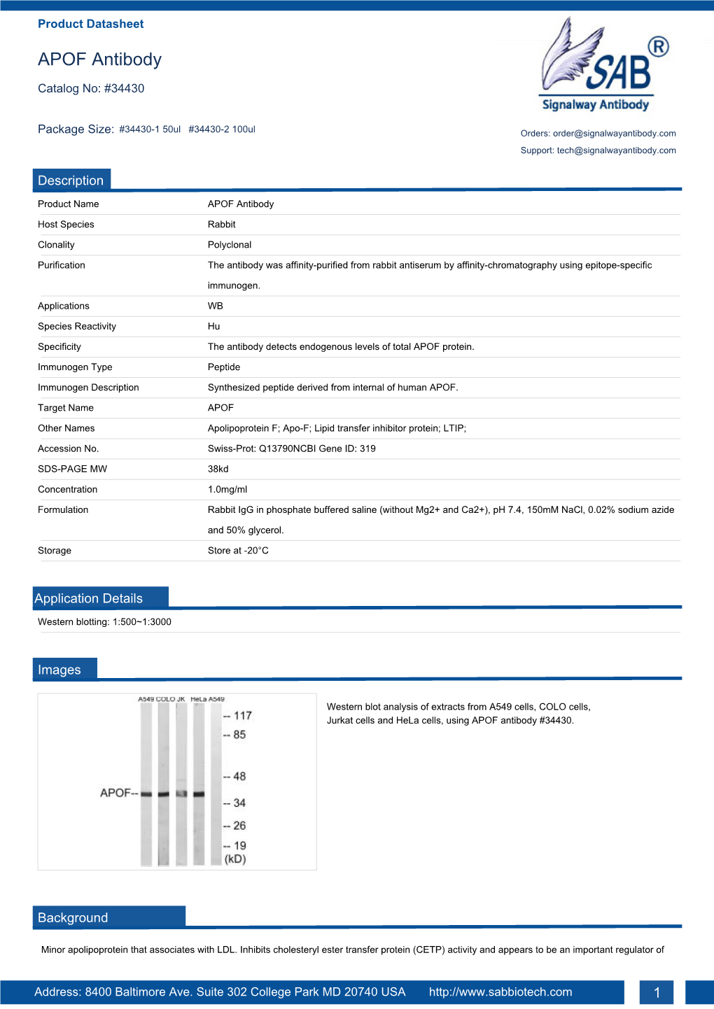 APOF Antibody