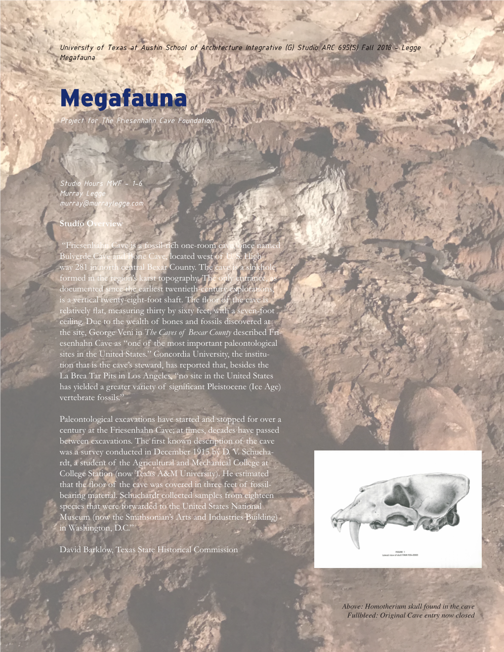 Megafauna Megafauna Project for the Friesenhahn Cave Foundation