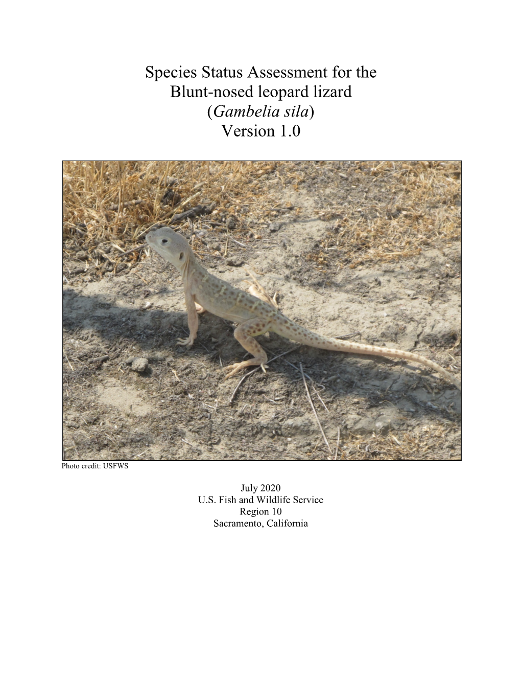 Species Status Assessment for the Blunt-Nosed Leopard Lizard (Gambelia Sila) Version 1.0