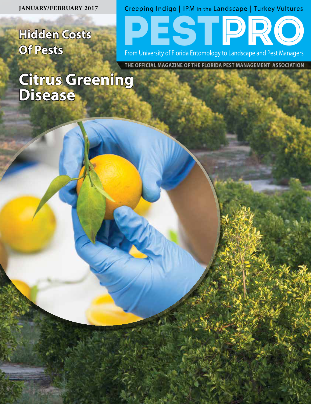 Citrus Greening Disease