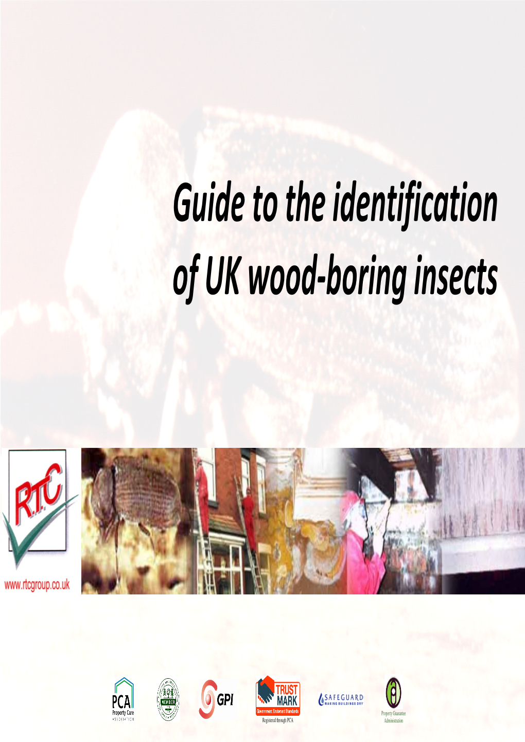 Guide to the Identification of UK Wood-Boring Insects