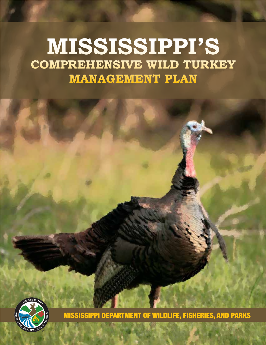 Mississippi's Comprehensive Wild Turkey Management Plan