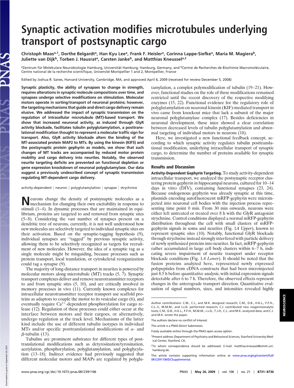 Synaptic Activation Modifies Microtubules Underlying Transport of Postsynaptic Cargo