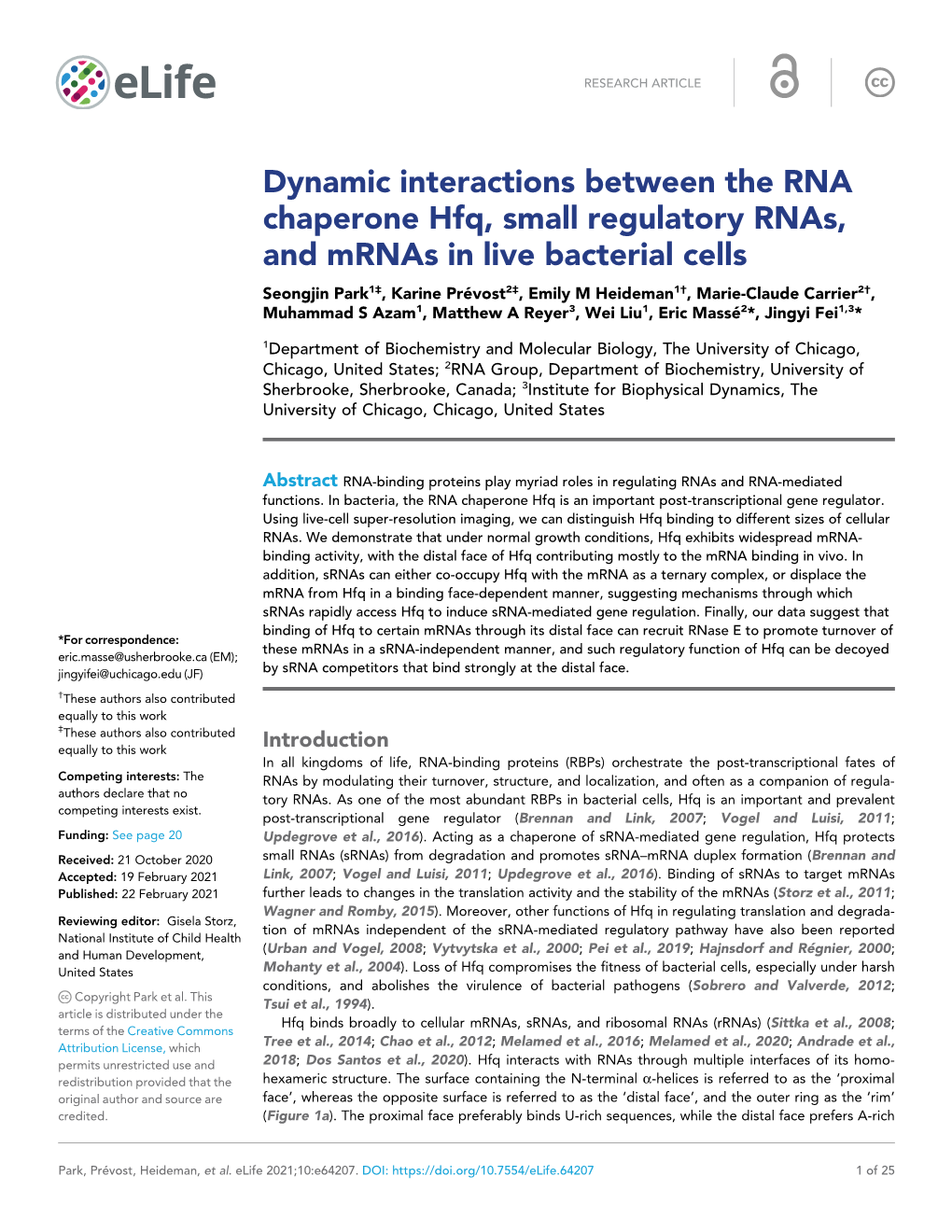 Dynamic Interactions Between the RNA Chaperone Hfq, Small