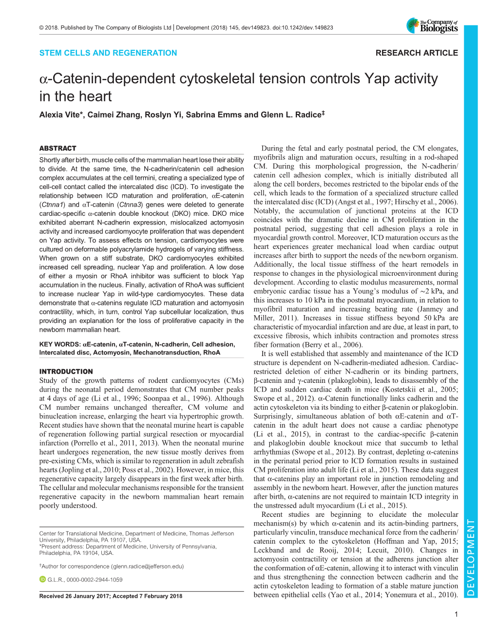 Α-Catenin-Dependent Cytoskeletal Tension Controls Yap Activity in the Heart Alexia Vite*, Caimei Zhang, Roslyn Yi, Sabrina Emms and Glenn L