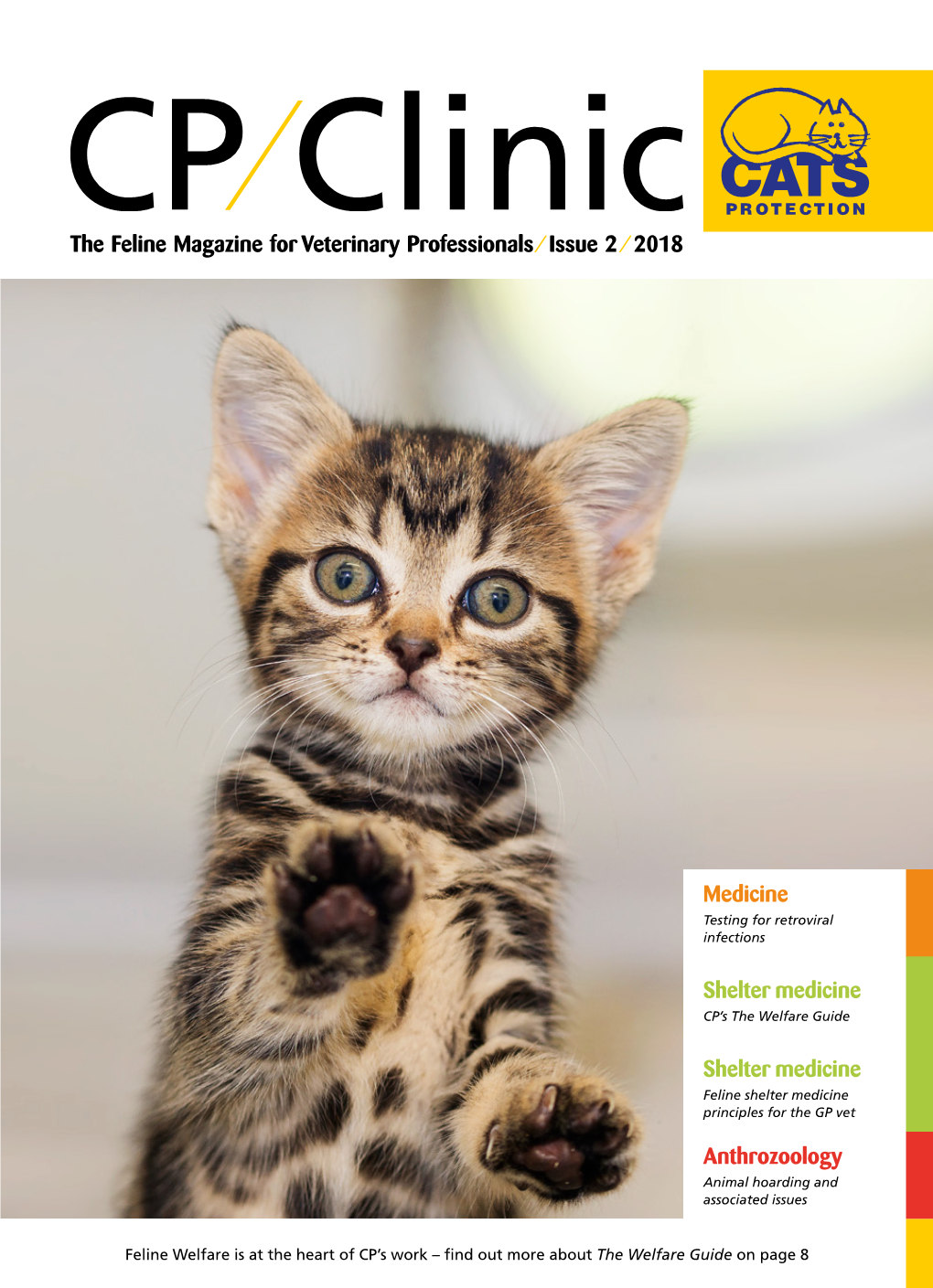 FIV and Felv Testing in Rescue and Rehoming Organisations