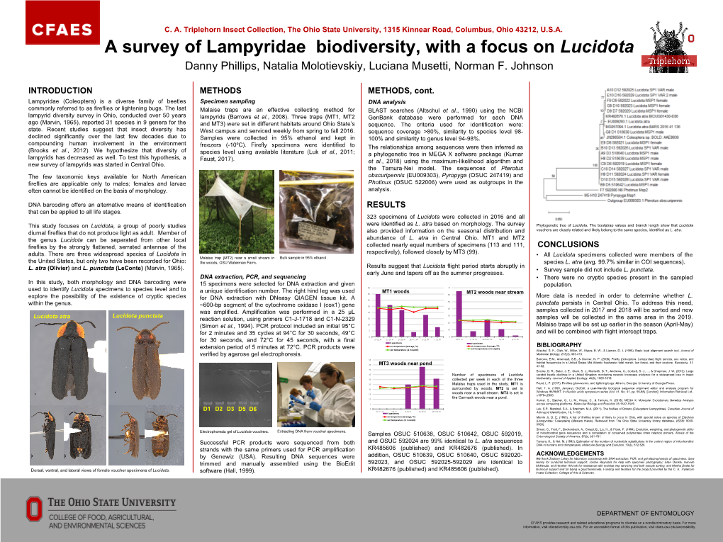 A Survey of Lampyridae Biodiversity, with a Focus on Lucidota Danny Phillips, Natalia Molotievskiy, Luciana Musetti, Norman F