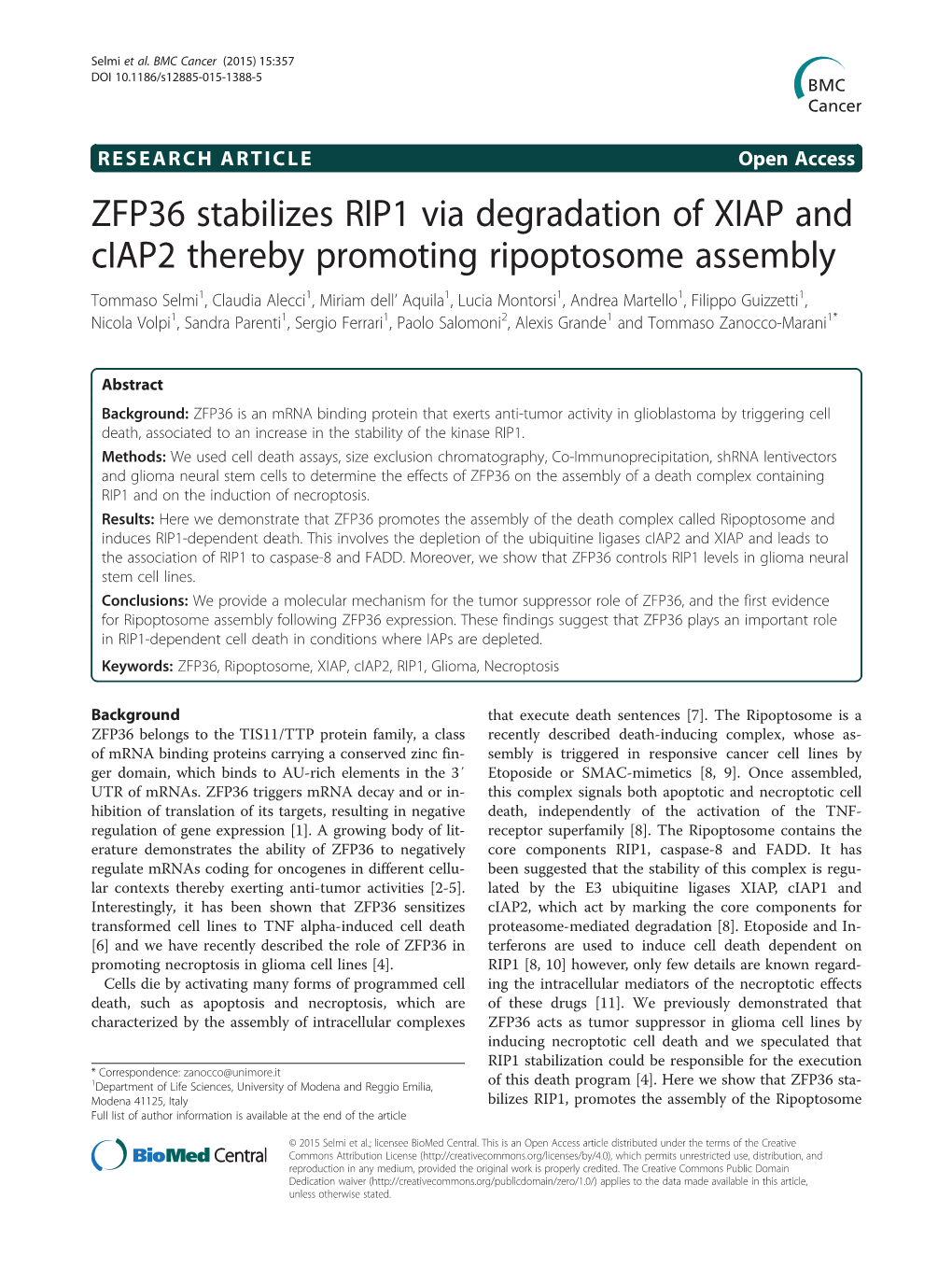 ZFP36 Stabilizes RIP1 Via Degradation of XIAP and Ciap2 Thereby