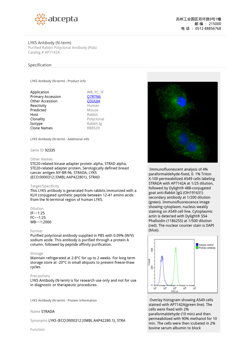 LYK5 Antibody (N-Term) Purified Rabbit Polyclonal Antibody (Pab) Catalog # AP7142A