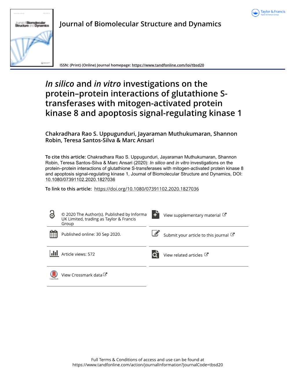 In Silico and in Vitro Investigations on the Protein–Protein