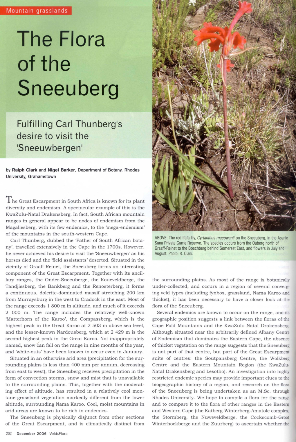 The Flora of the Sneeuberg