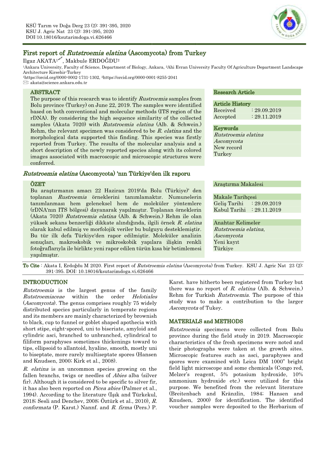 First Report of Rutstroemia Elatina (Ascomycota) from Turkey