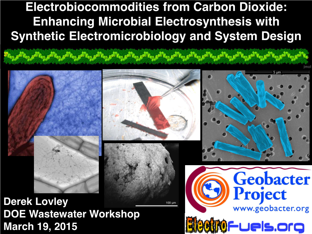 Electrobiocommodities from Carbon Dioxide: Enhancing Microbial Electrosynthesis with Synthetic Electromicrobiology and System Design