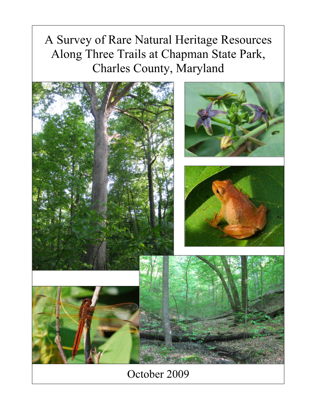A Survey of Rare Natural Heritage Resources Along Three Trails at Chapman State Park, Charles County, Maryland