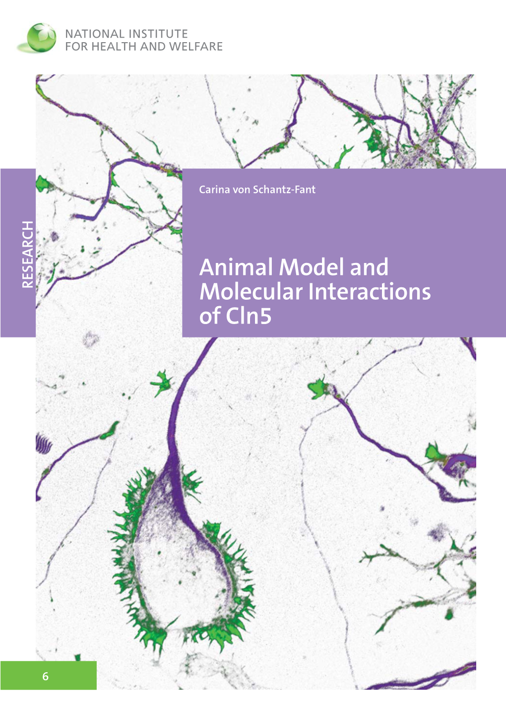 Animal Model and Molecular Interactions of Cln5"