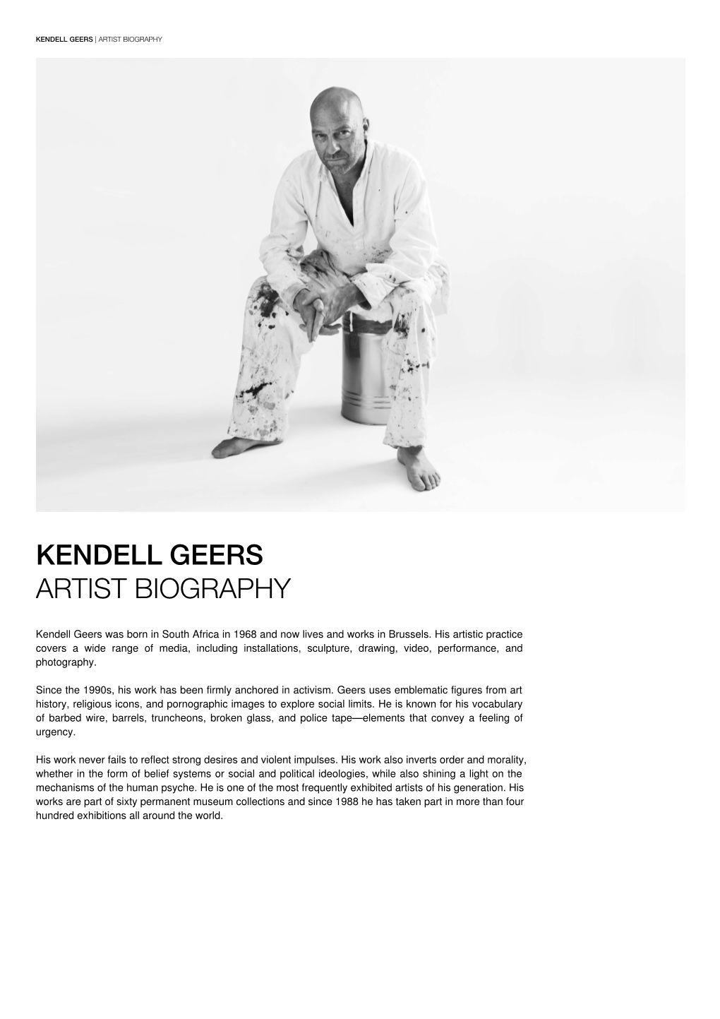 Kendell Geers Artist Biography