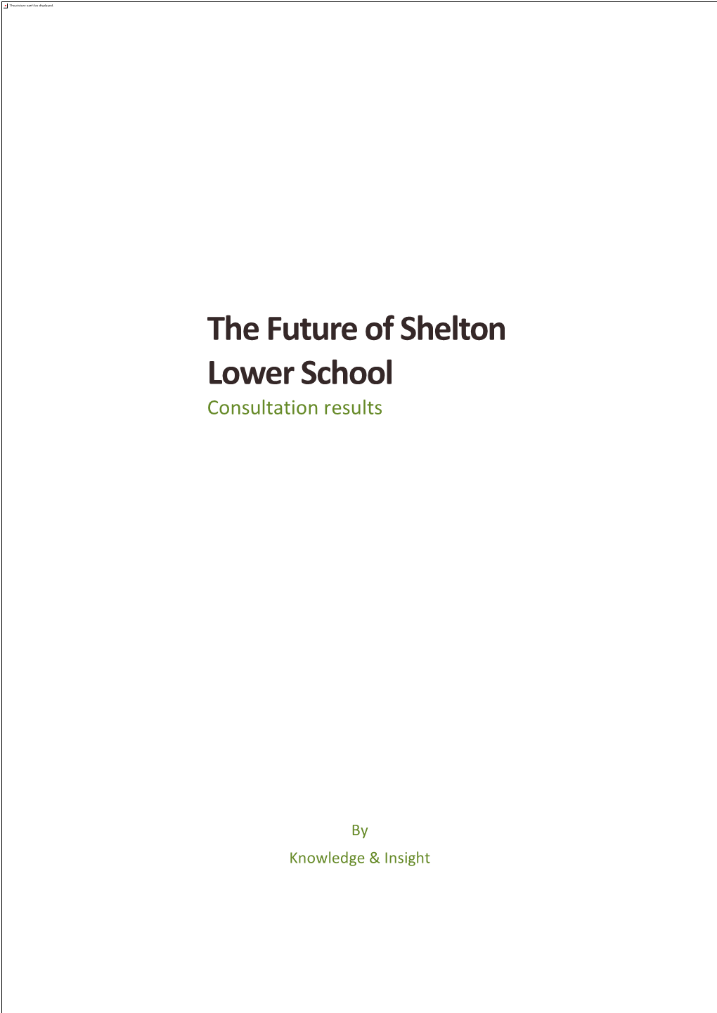 The Future of Shelton Lower School Consultation Results