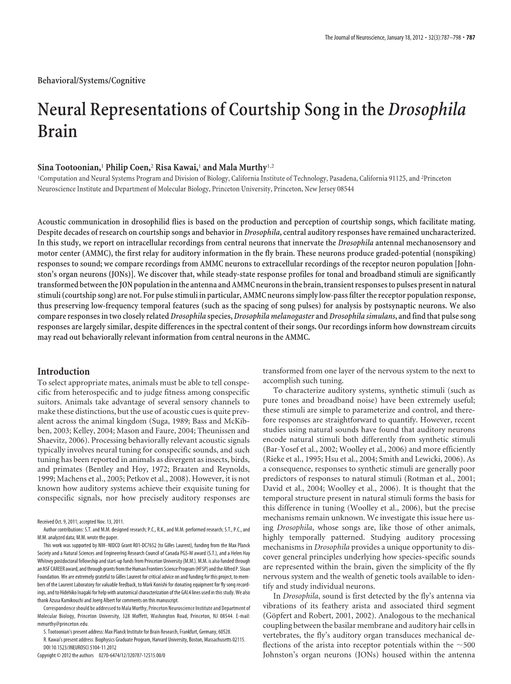 Neural Representations of Courtship Song in Thedrosophila Brain