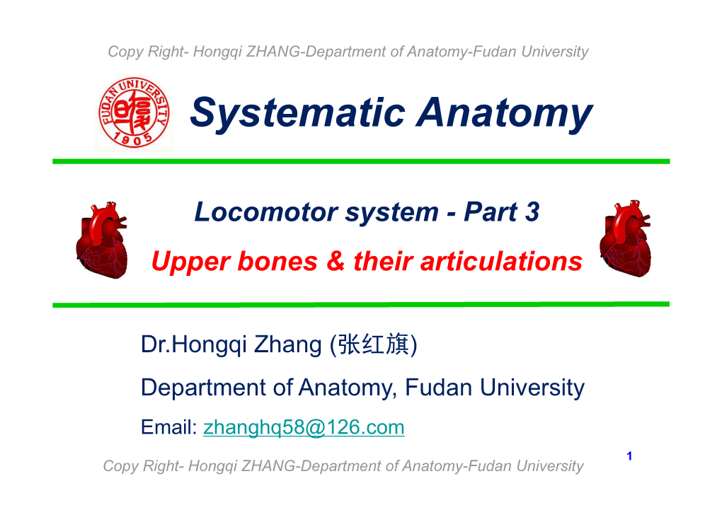 Systematic Anatomy