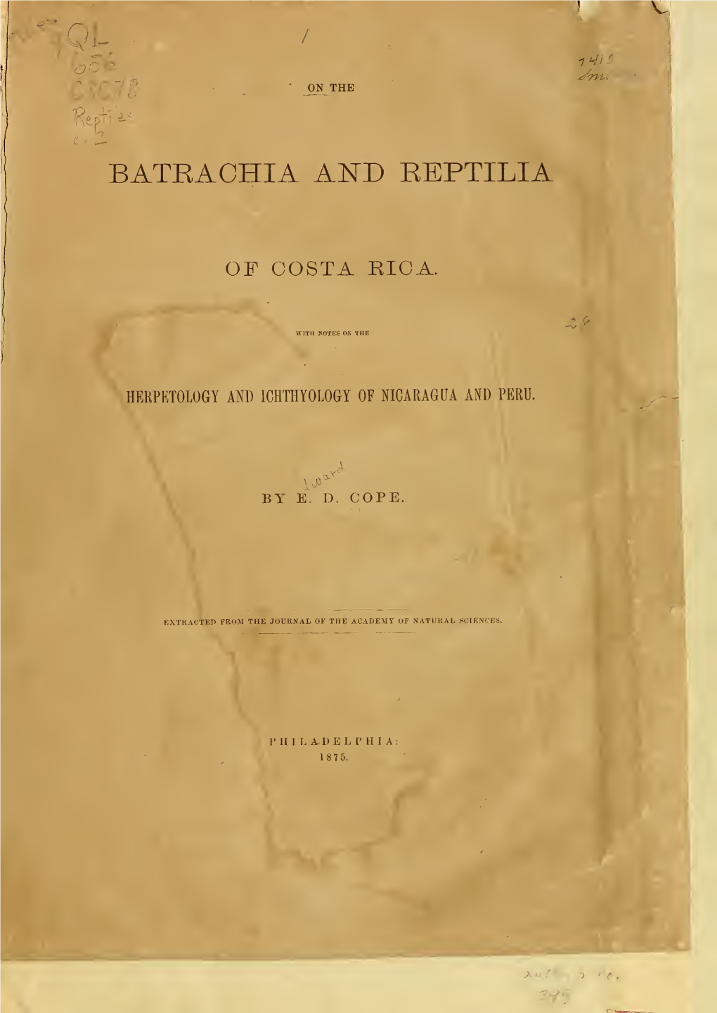 Cope, E.D. 1876. on the Batrachia and Reptilia of Costa Rica. In