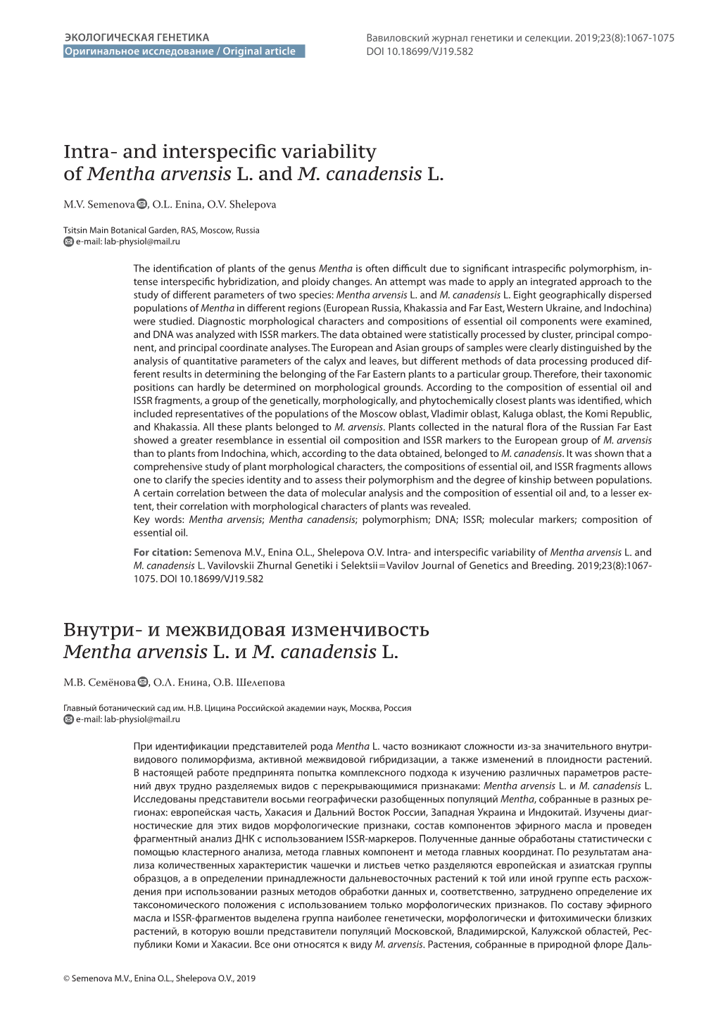 Intra- and Interspecific Variability of Mentha Arvensis L. and M. Canadensis L. Внутри- И Межвидовая Изме