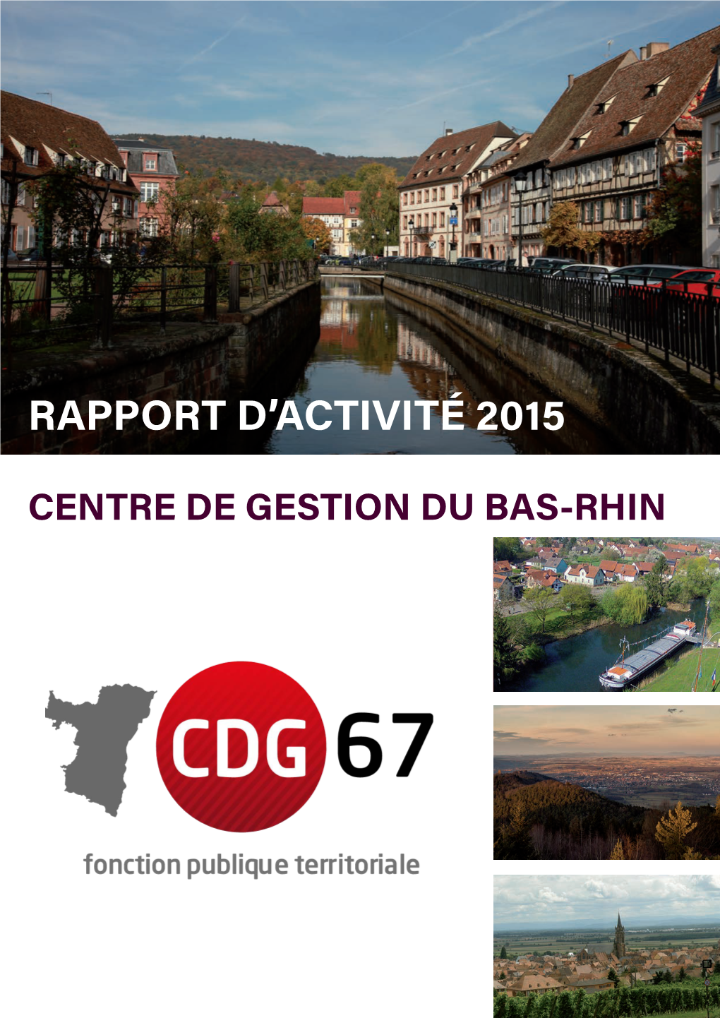 Rapport D'activité 2015 Du Centre De Gestion De La Fonction Publique Territoriale Du Bas-Rhin