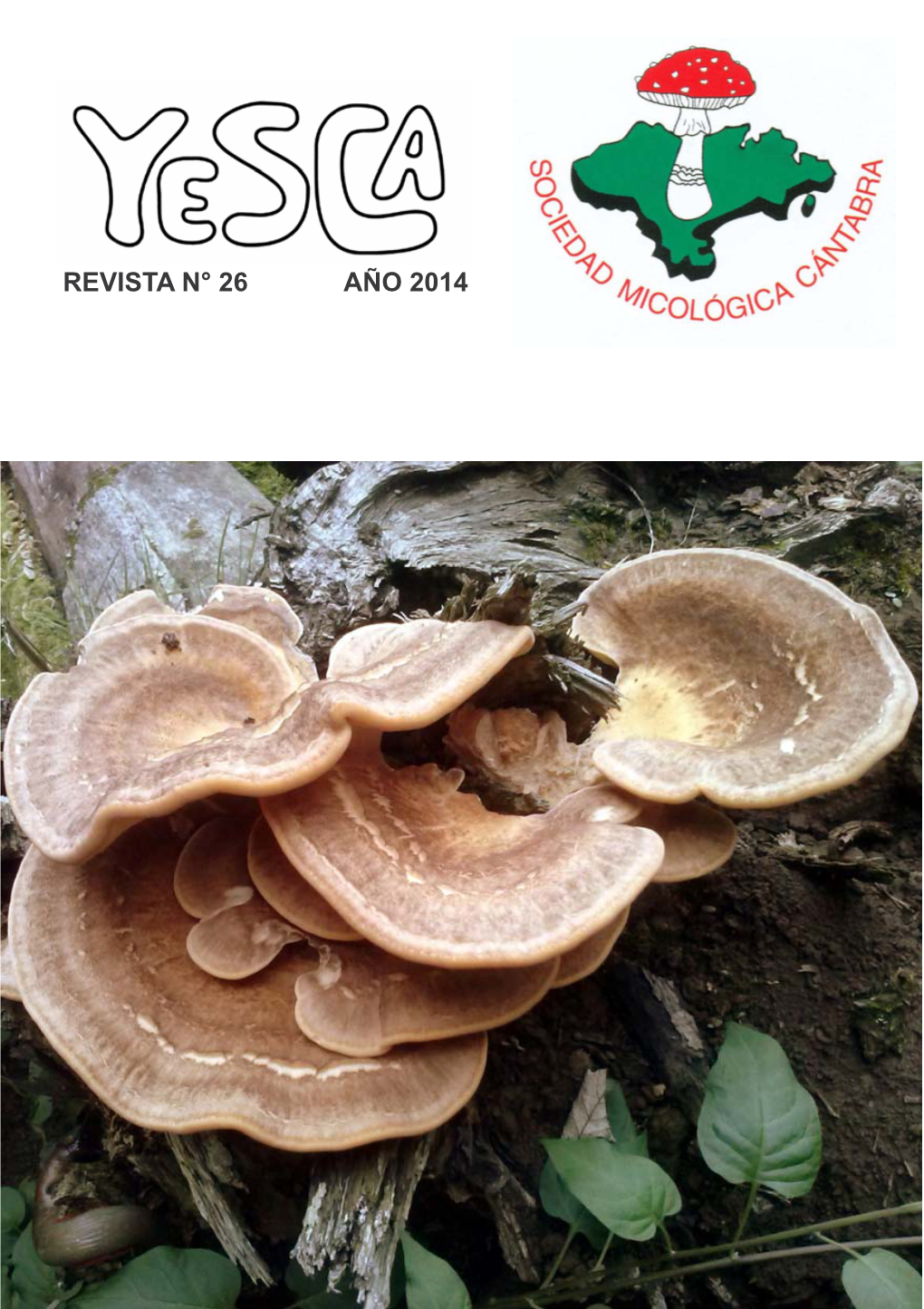 Revista N° 26 Año 2014 Revista De Micología N° 26