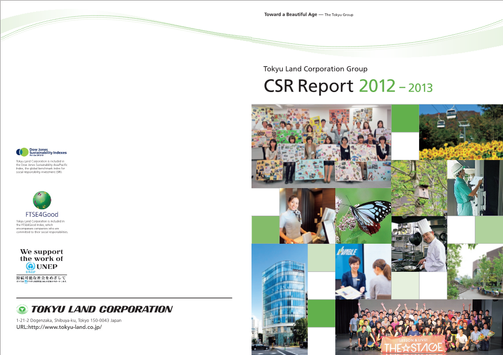 CSR Repo CSR Report 2012