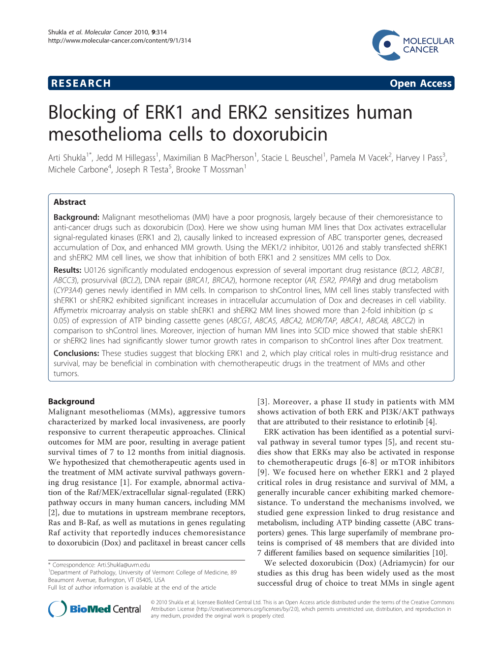 Blocking of ERK1 and ERK2 Sensitizes Human Mesothelioma Cells to Doxorubicin