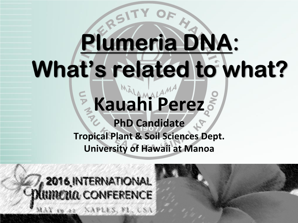Plumeria DNA: What’S Related to What? Kauahi Perez Phd Candidate Tropical Plant & Soil Sciences Dept