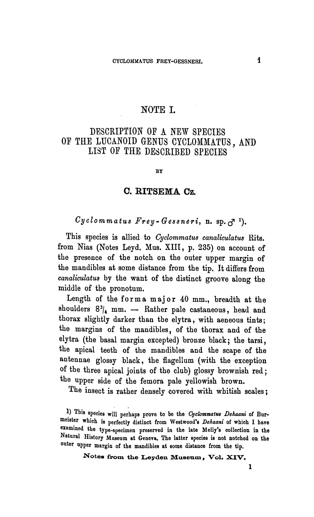 Cyclommatus, and List of the Described Species