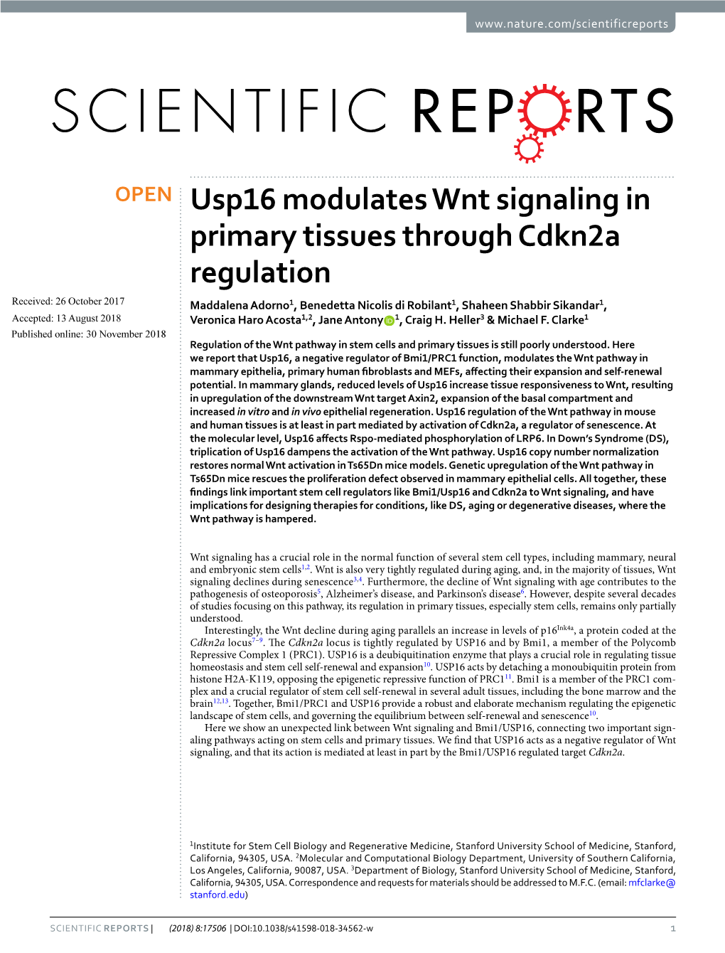 Usp16 Modulates Wnt Signaling in Primary Tissues Through Cdkn2a