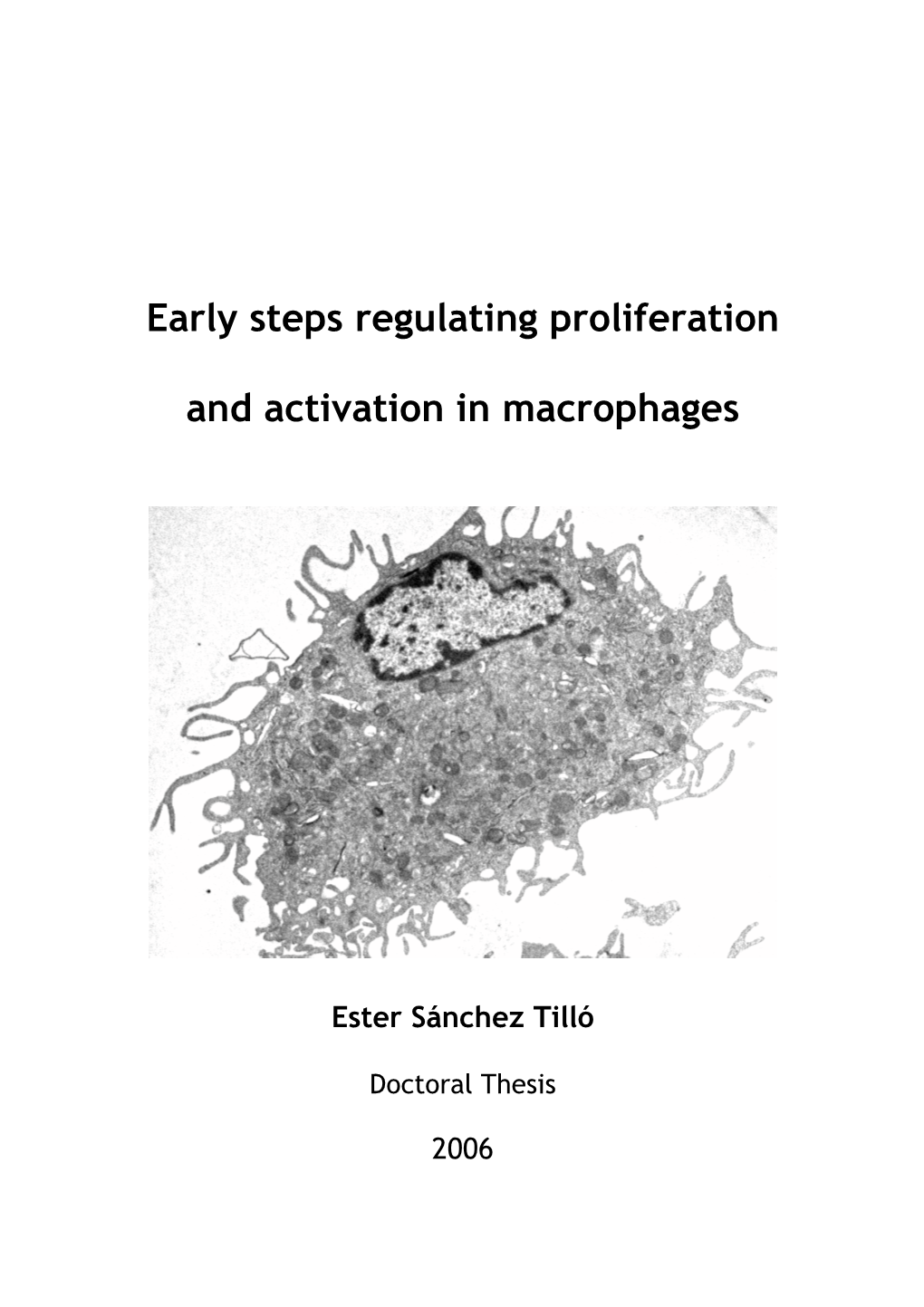 Early Steps Regulating Proliferation and Activation in Macrophages