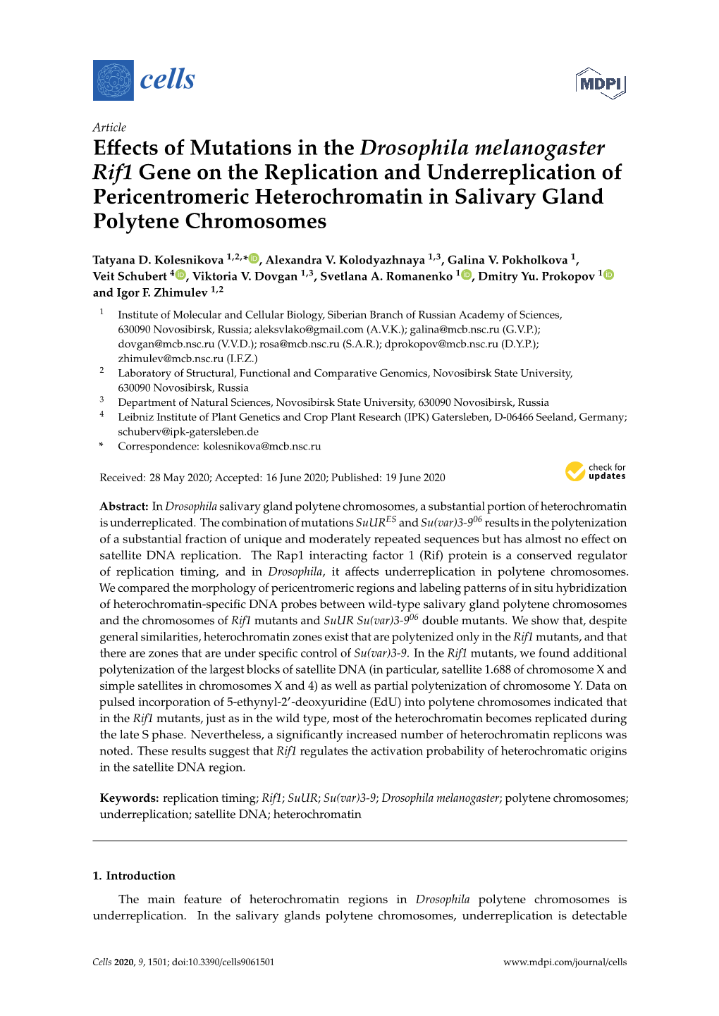 Effects of Mutations in the Drosophila Melanogaster Rif1 Gene On