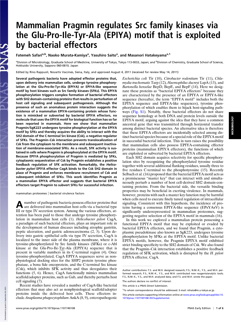 Mammalian Pragmin Regulates Src Family Kinases Via the Glu-Pro-Ile-Tyr-Ala (EPIYA) Motif That Is Exploited by Bacterial Effectors