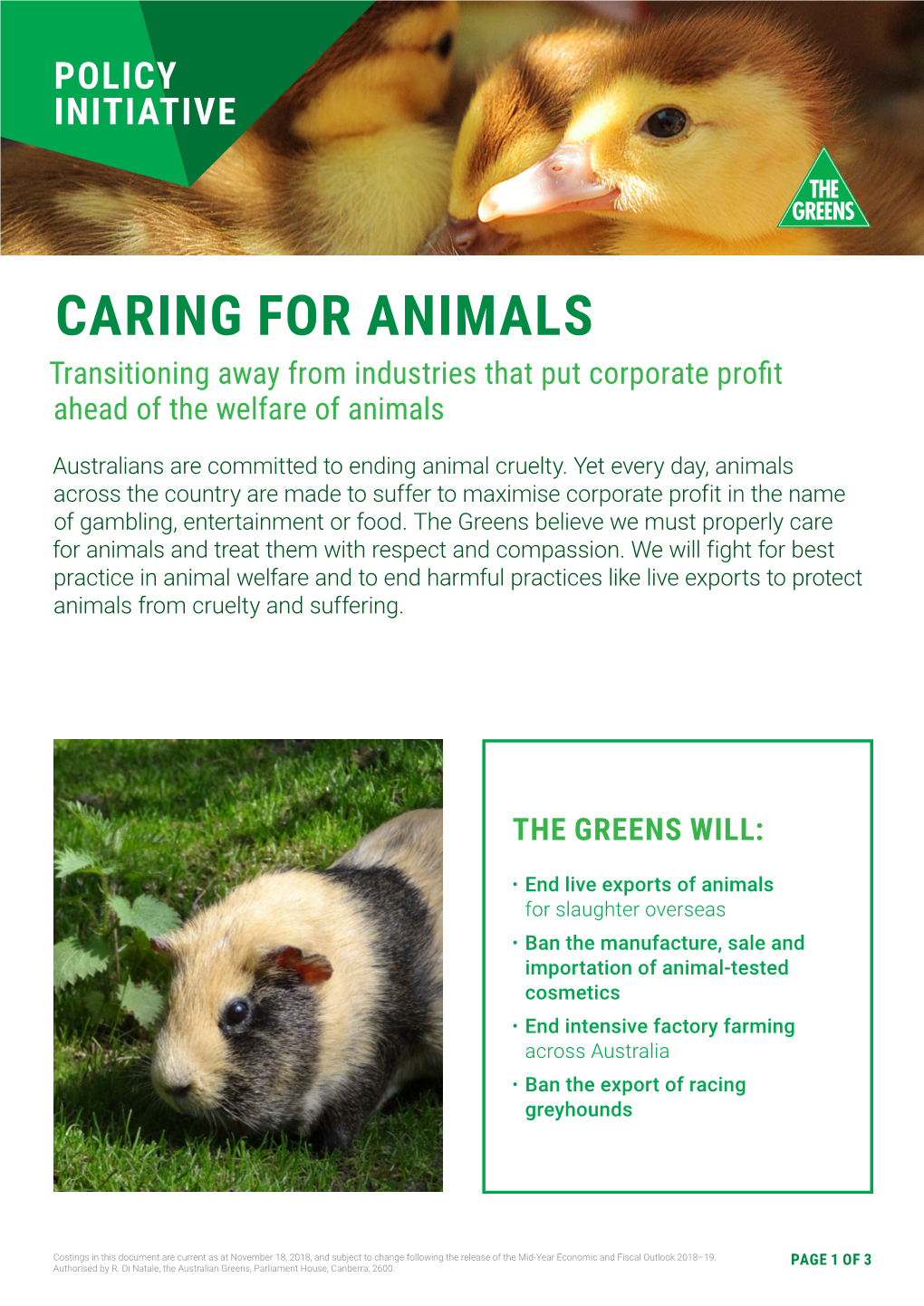 Caring for Animals – Greens Policy