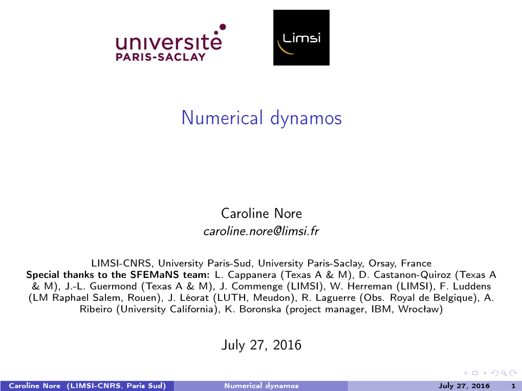 Numerical Dynamos [1Cm]