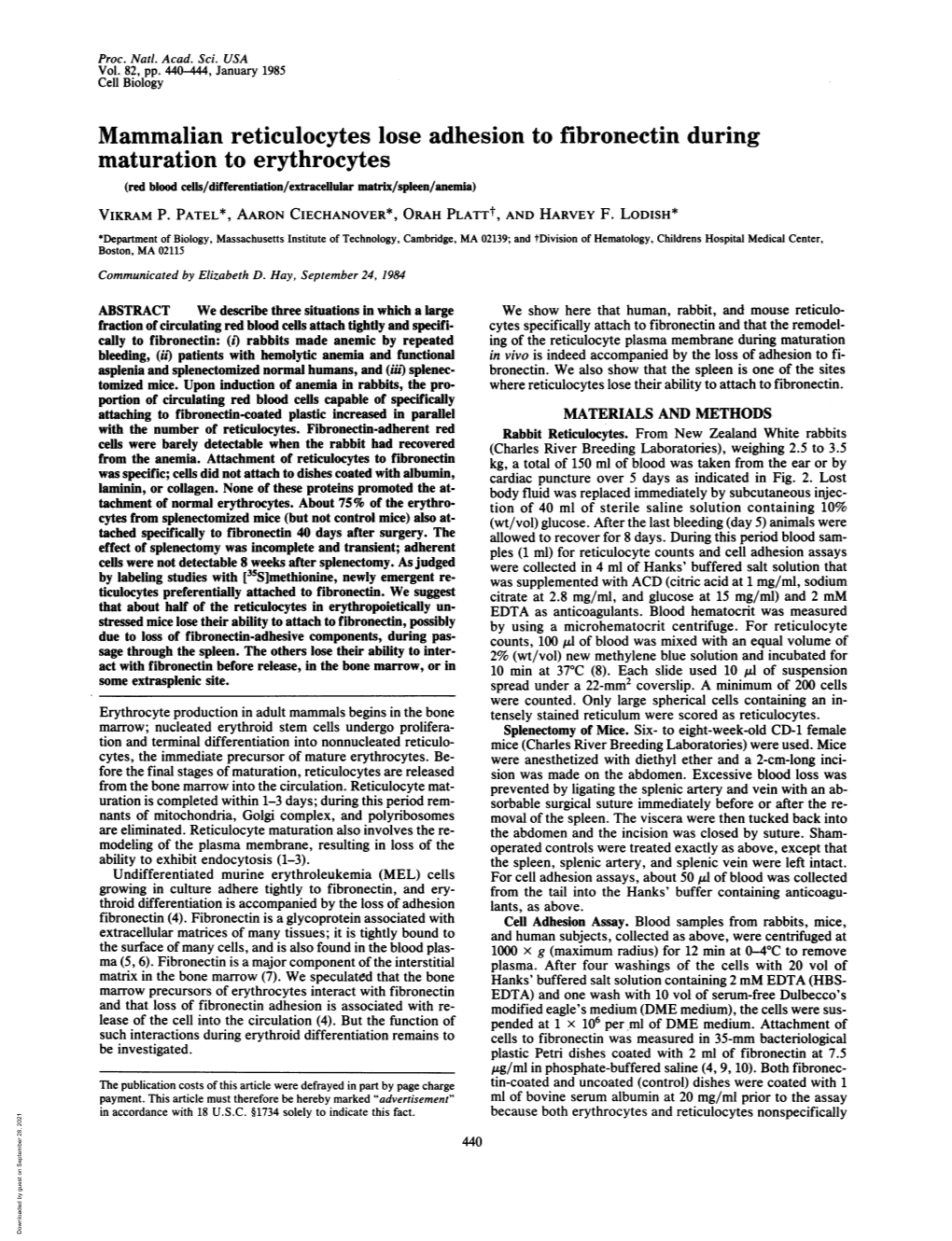 Mammalian Reticulocytes Lose Adhesion to Fibronectin During Maturation to Erythrocytes (Red Blood Cells/Differentiation/Extracellular Matrix/Spleen/Anemia) VIKRAM P