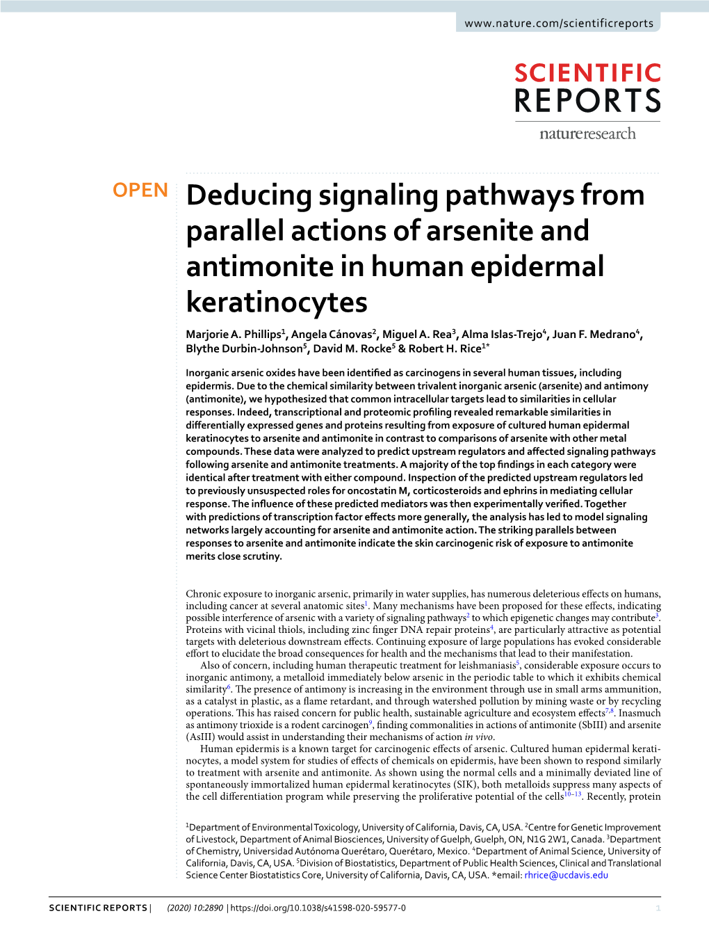 Deducing Signaling Pathways from Parallel Actions of Arsenite and Antimonite in Human Epidermal Keratinocytes Marjorie A