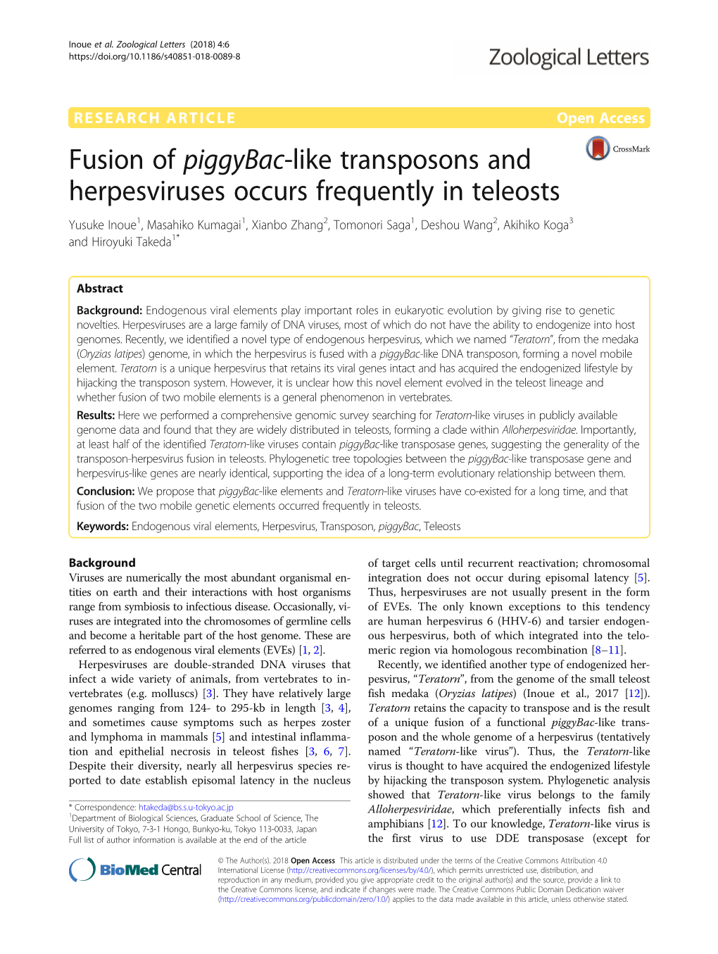 Fusion of Piggybac-Like Transposons and Herpesviruses Occurs