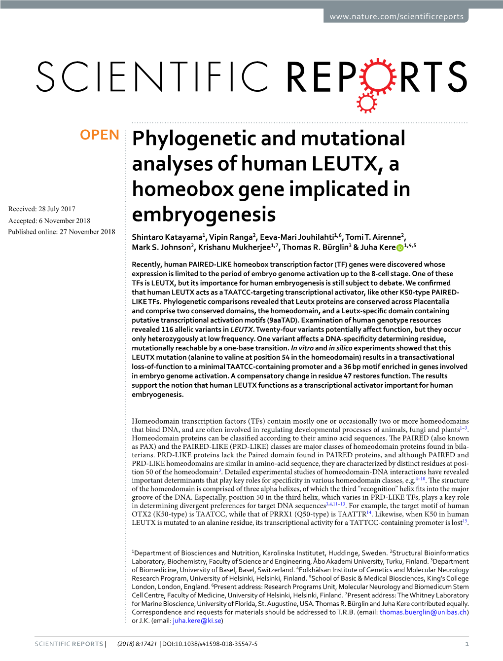Phylogenetic and Mutational Analyses of Human LEUTX, a Homeobox