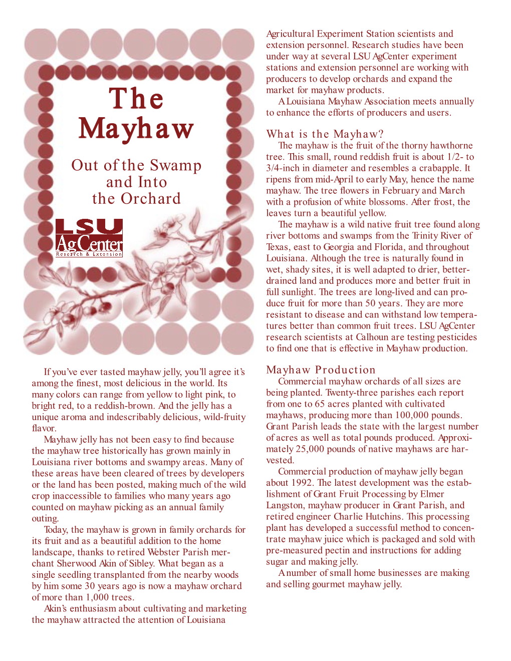 The Mayhaw? the Mayhaw Is the Fruit of the Thorny Hawthorne Tree