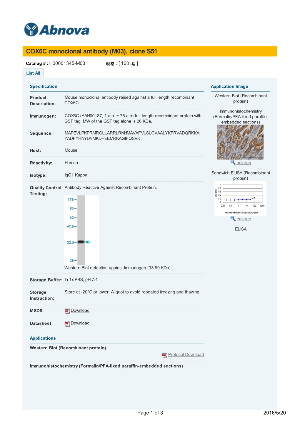 COX6C Monoclonal Antibody (M03), Clone S51