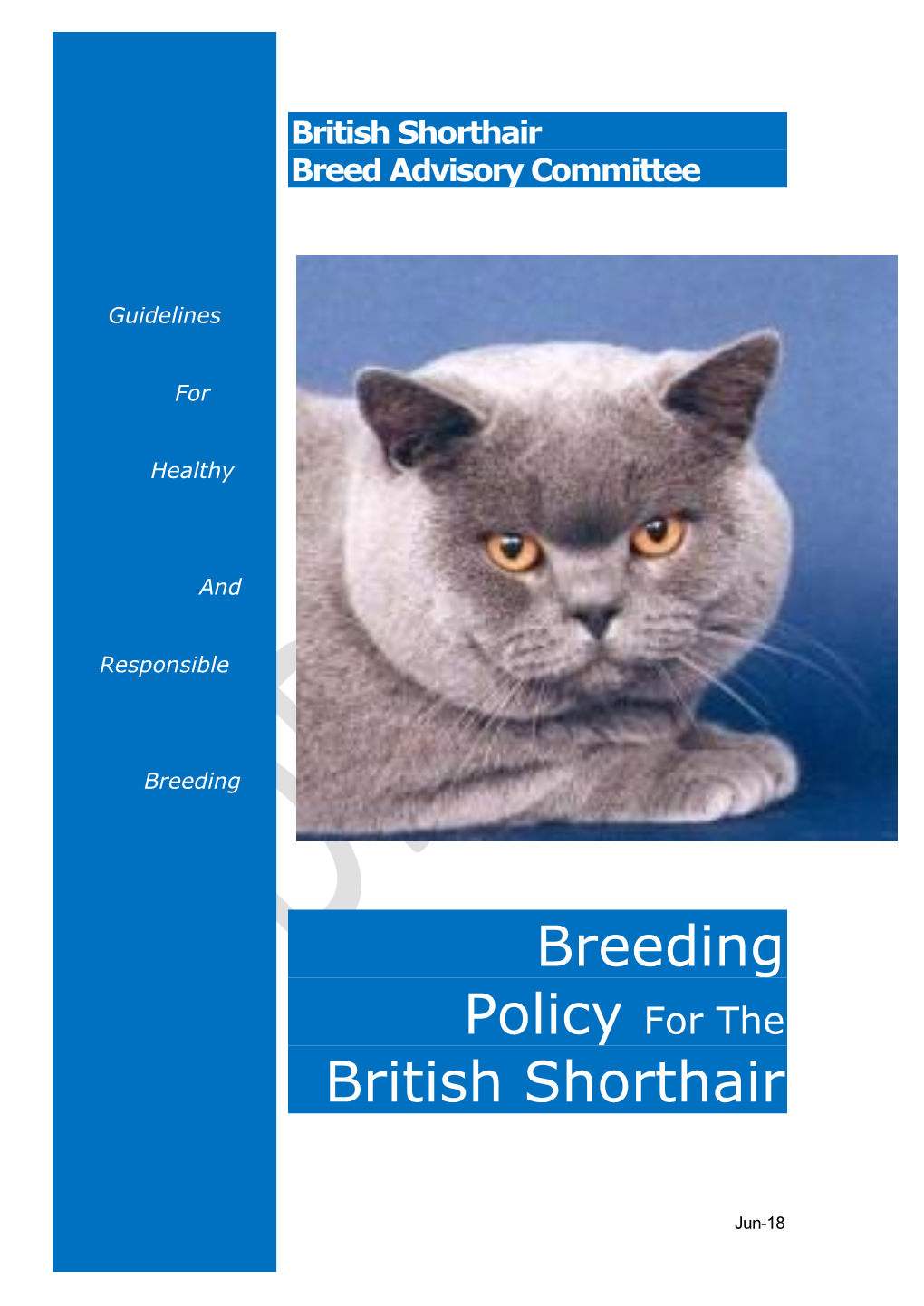 Breeding Policy for the British Shorthair